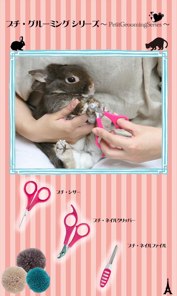 うさぎなどの小動物用お手入れグッズ　爪切り　爪やすり