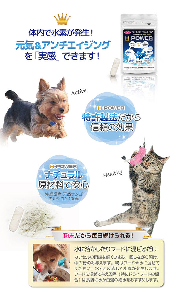 ペット用　栄養補助食品　サプリメント　H-POWER　エイチ・パワー