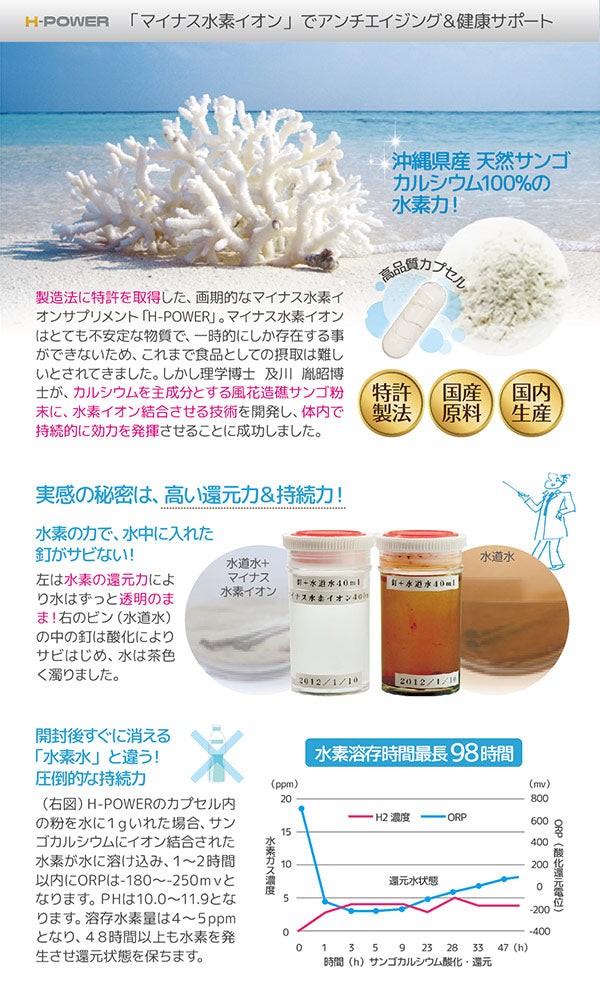 ペット用　栄養補助食品　サプリメント　H-POWER　エイチ・パワー