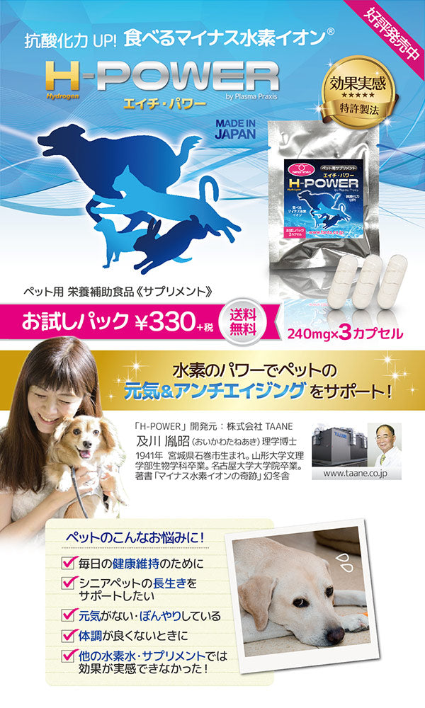 ペット用　栄養補助食品　サプリメント　H-POWER　エイチ・パワー 【お試しパック】