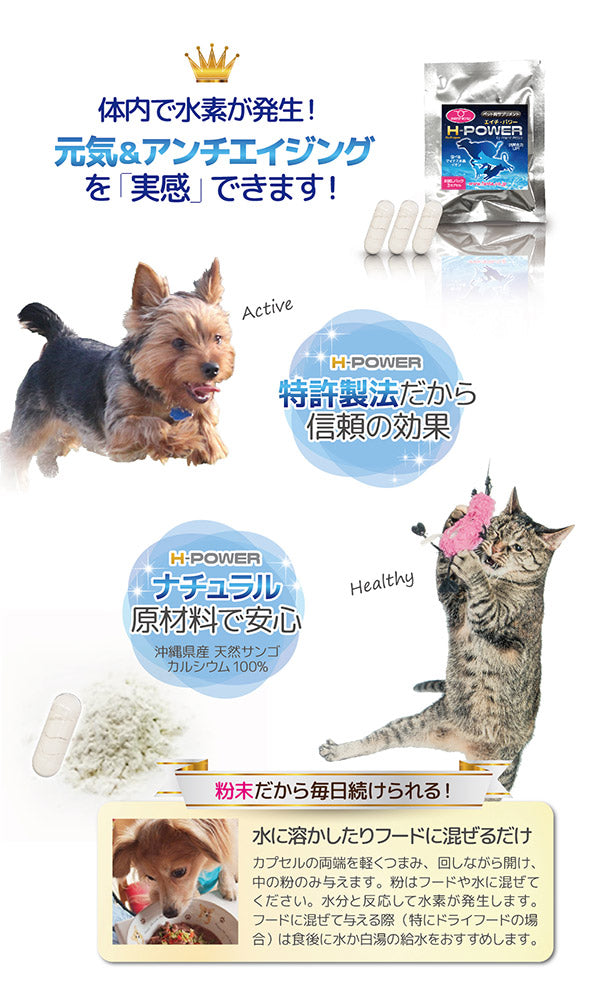ペット用　栄養補助食品　サプリメント　H-POWER　エイチ・パワー 【お試しパック】