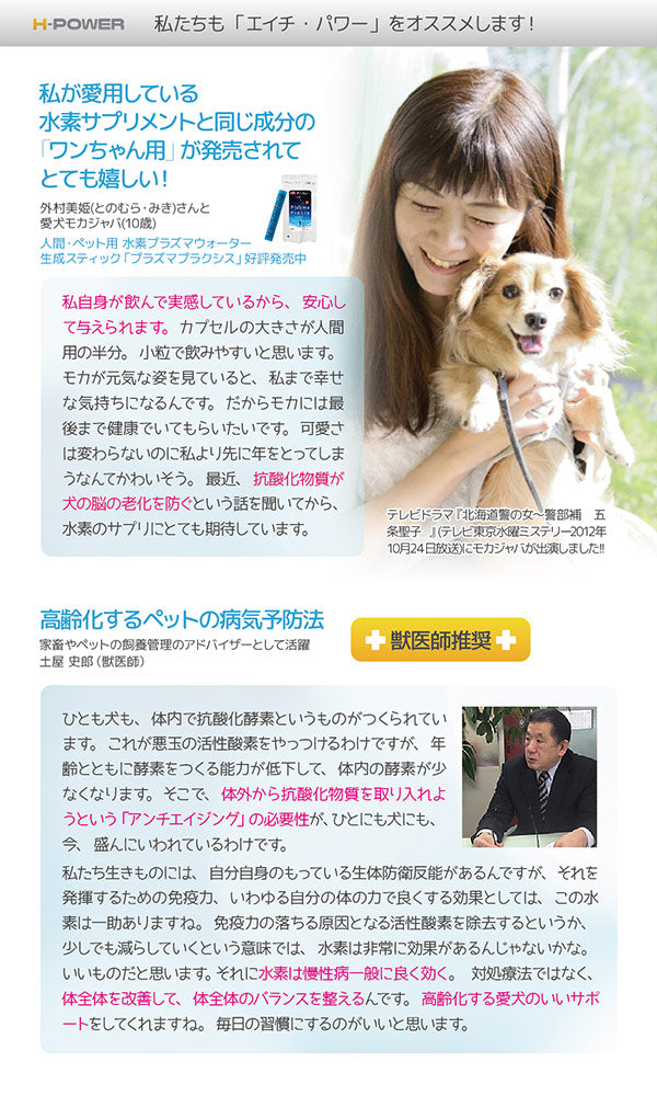 ペット用　栄養補助食品　サプリメント　H-POWER　エイチ・パワー 【お試しパック】