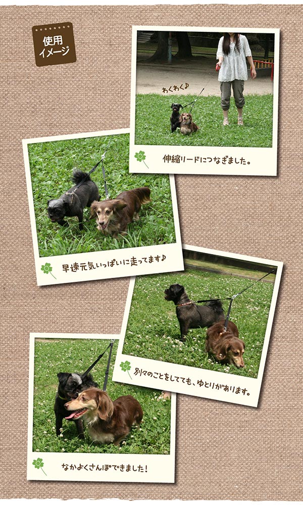 多頭飼いに便利！２頭引きアイテム　ファンタジー ツインリード 3サイズ展開