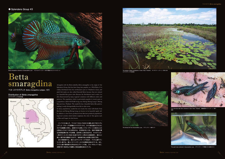 betta2020_p016_017_720x.jpg?v=