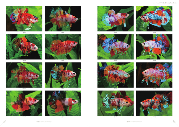 betta2020_p148_149_720x.jpg?v=