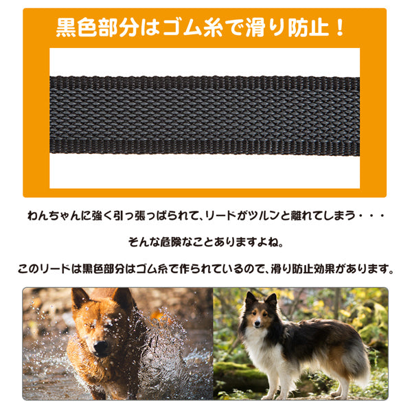 山登りトレッキングリードG20/100　デイトナ ガミー マティック DAYTONA GUMMY MATIC