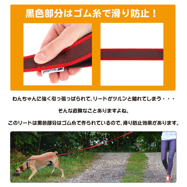 マグネットロックロングリードG20/500 デイトナ ガミー マティック DAYTONA GUMMY MATIC
