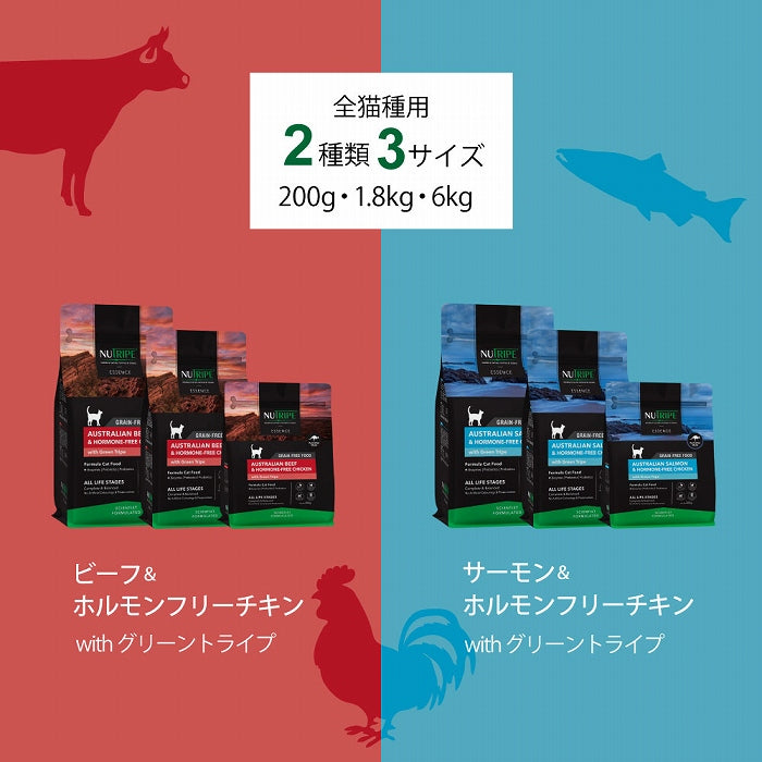 サーモン＆チキン＆グリーントライプ キャットフード ドライ