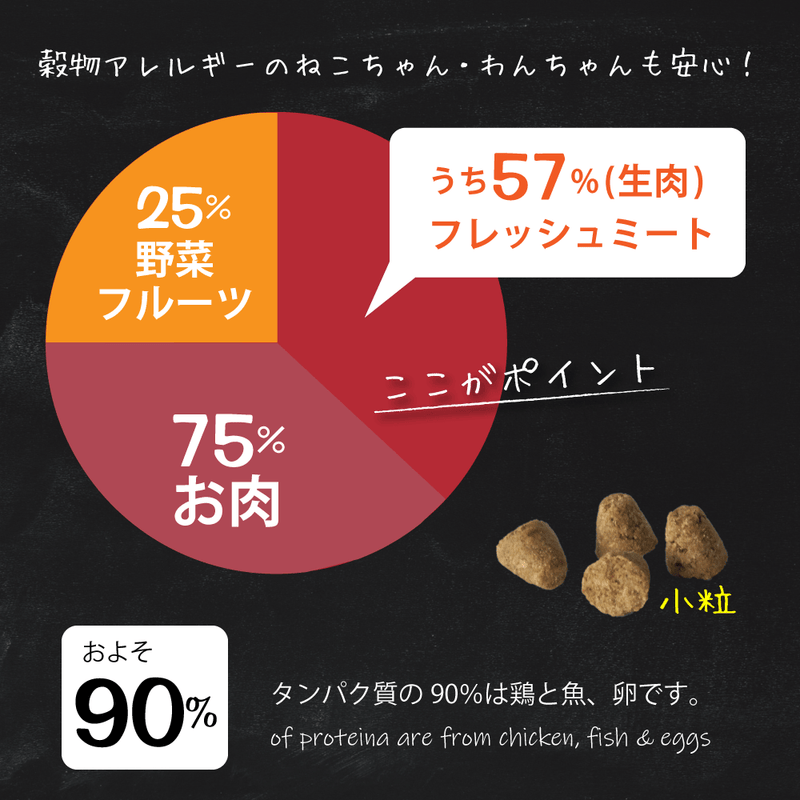 ドッグフード ヴィーガン 総合栄養食  オーブンベークド トラディション 100g/1.81kg