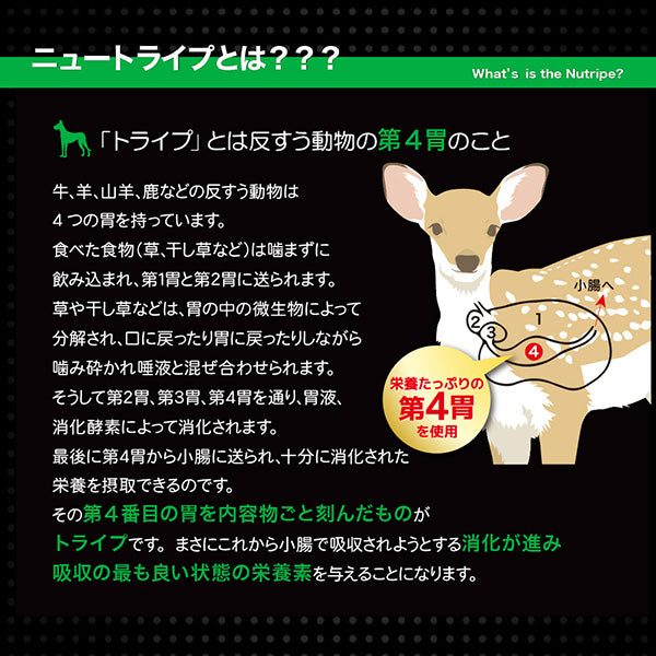 【まとめ買い24缶×95g】成犬用 ドッグフード ピュア グリーントライプ 95g