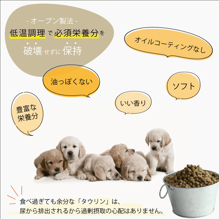 予約販売】【20％OFF】ドッグフード ヴィーガン 総合栄養食 犬