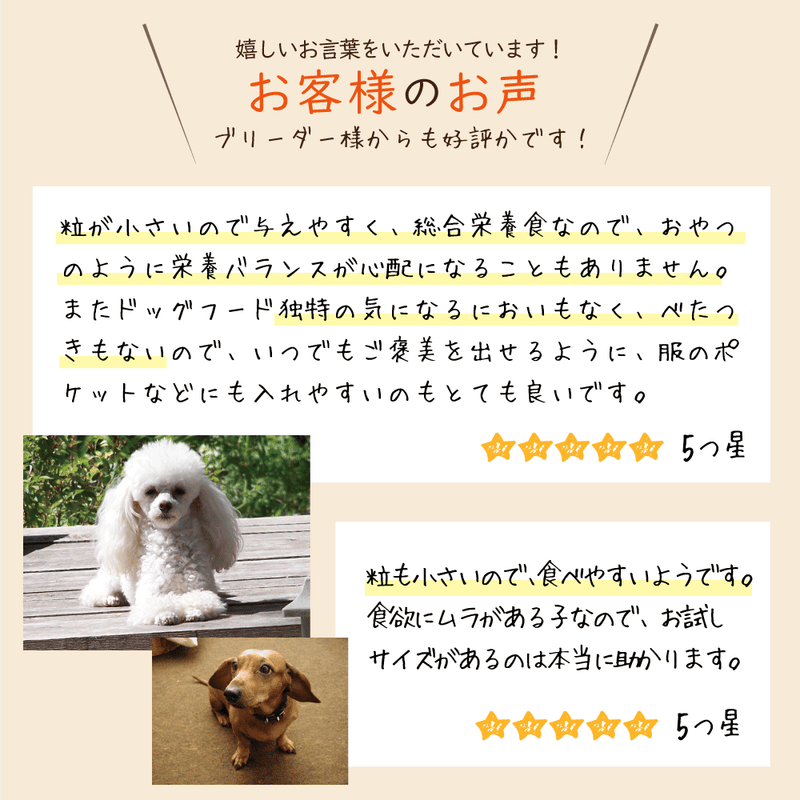 アダルトフィッシュ ドッグフード 粒がリニューアル！