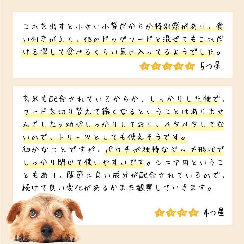 パピー チキン 子犬 ドッグフード