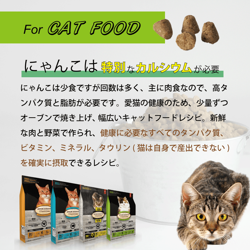 アダルト フィッシュ  キャットフード