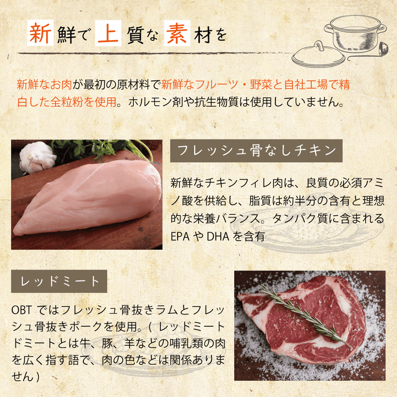 ドッグフード ヴィーガン 総合栄養食  オーブンベークド トラディション 100g/1.81kg