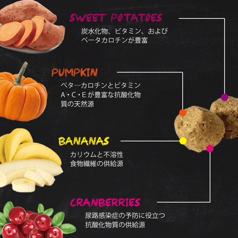 グレインフリー チキン 穀物不使用 ドッグフード