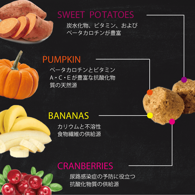 ドッグフード ヴィーガン 総合栄養食  オーブンベークド トラディション 100g/1.81kg
