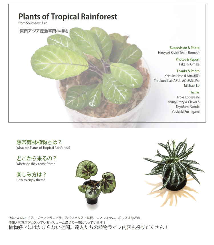 World Plants Report ex Japan ワールドプランツレポート植物 多肉植物 熱帯雨林植物 本